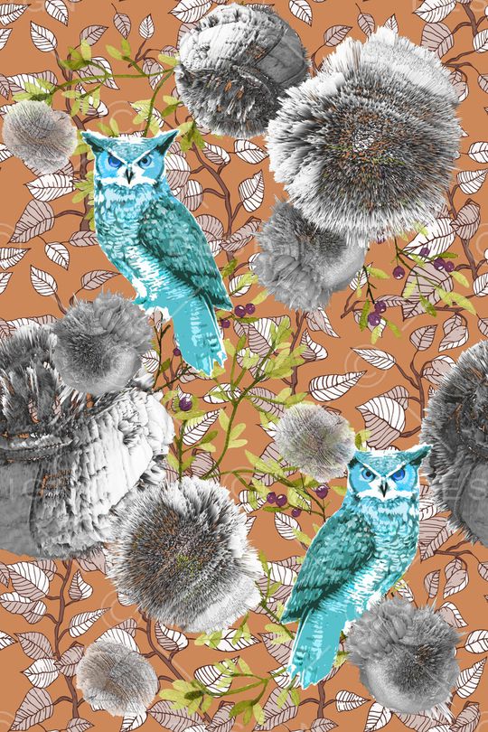 猫头鹰印花华亿平台图片