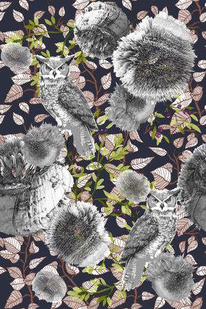 猫头鹰印花华亿平台图片