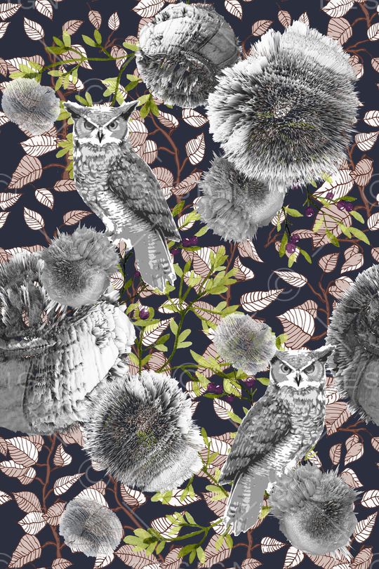 猫头鹰印花华亿平台图片