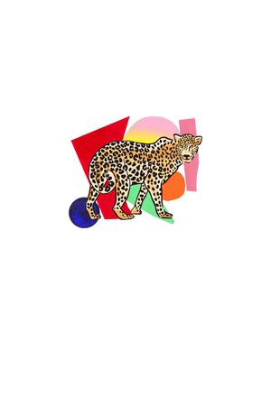 动物印花华亿平台图片