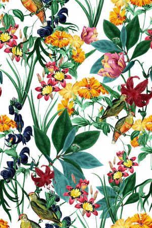 botanical印花华亿平台图片