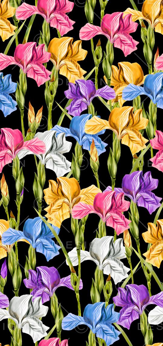 鸢尾花印花华亿平台图片