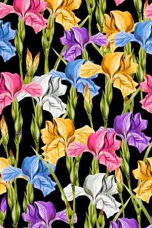 鸢尾花印花华亿平台图片