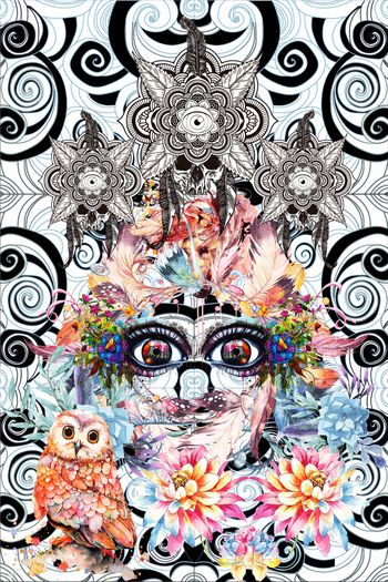 猫头鹰印花华亿平台图片