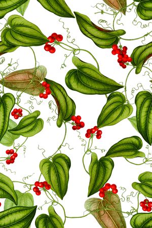 植物印花华亿平台图片