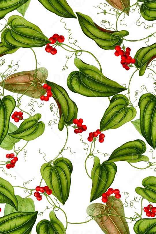 植物印花华亿平台图片