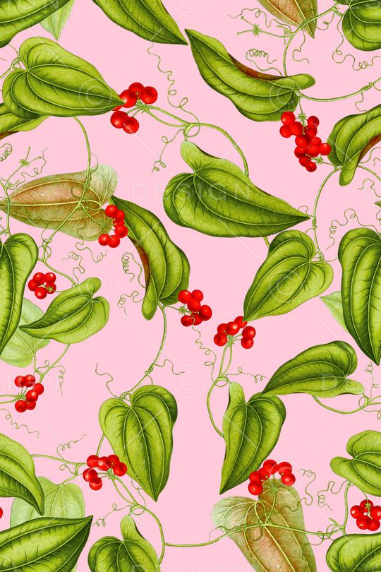 植物印花华亿平台图片