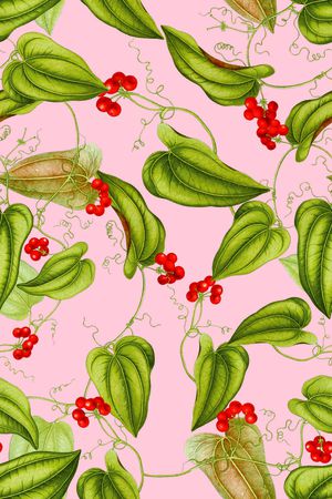 植物印花华亿平台图片