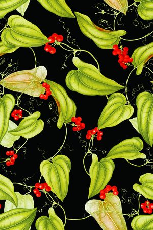 植物印花华亿平台图片