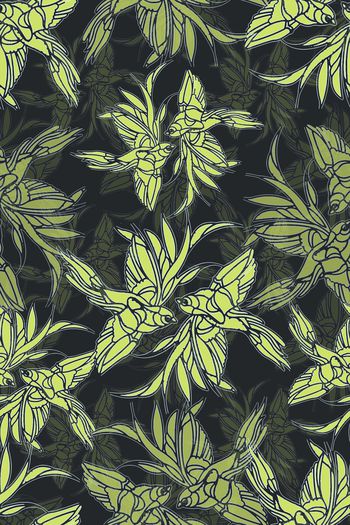 1103514-180802-羽毛-1-00