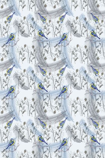 1103516-180802-羽毛-2-00