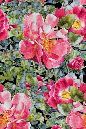 水彩花卉印花华亿平台图片