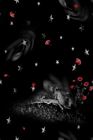 男装印花华亿平台图片