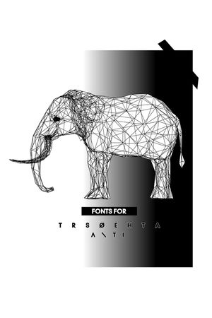 动物印花华亿平台图片