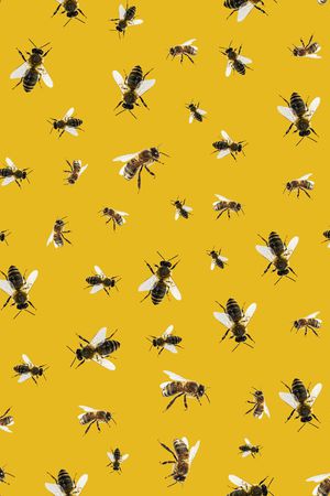 女装印花华亿平台图片