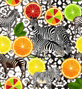 1104608-柠檬斑马