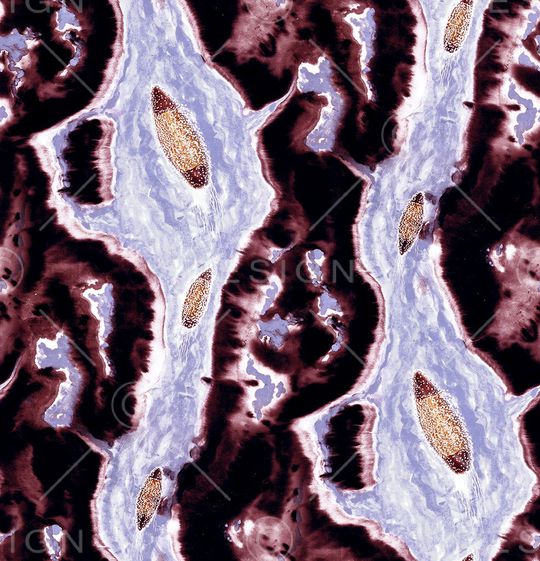 抽象印花华亿平台图片