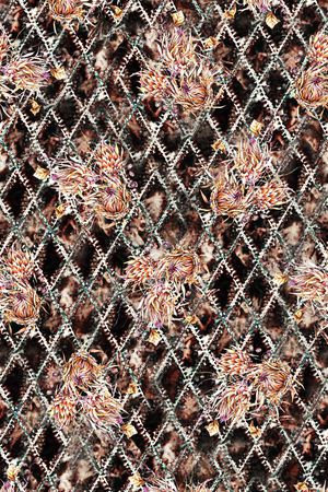 数码华亿平台印花华亿平台图片