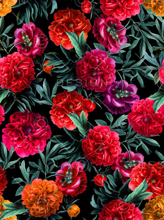 牡丹印花华亿平台图片