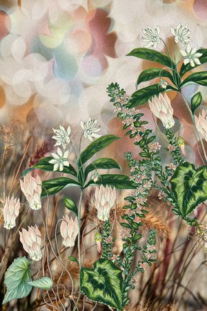 定位花印花华亿平台图片