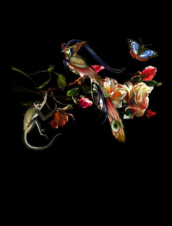 猴子印花华亿平台图片