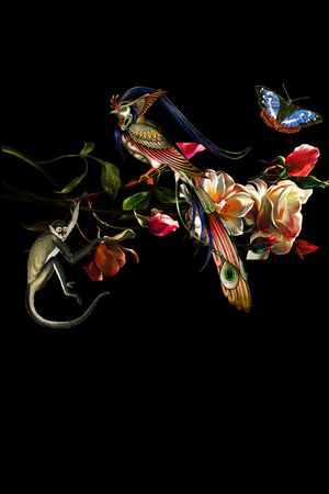 猴子印花华亿平台图片