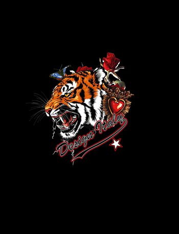 蝴蝶印花华亿平台图片