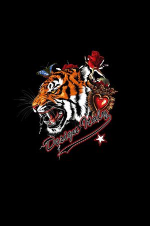 蝴蝶印花华亿平台图片