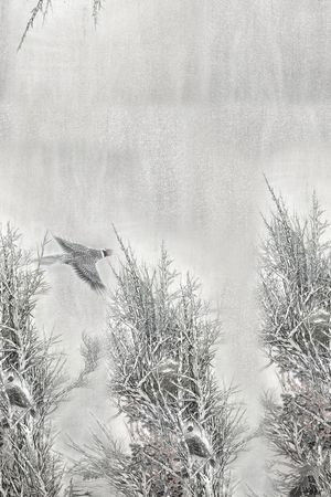 黑白华亿平台印花华亿平台图片