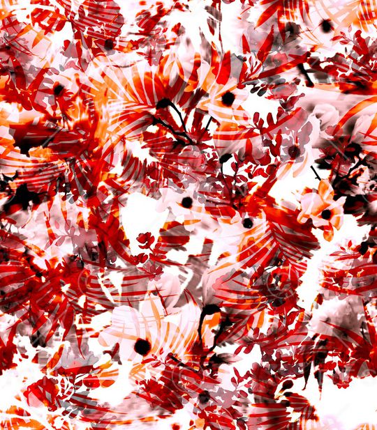 植物印花华亿平台图片