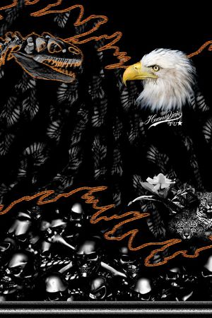 老鹰印花华亿平台图片