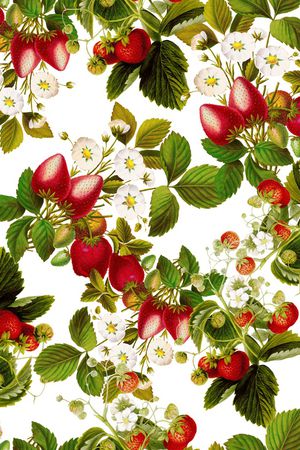 水果印花华亿平台图片