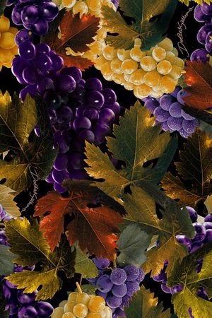 水果印花华亿平台图片