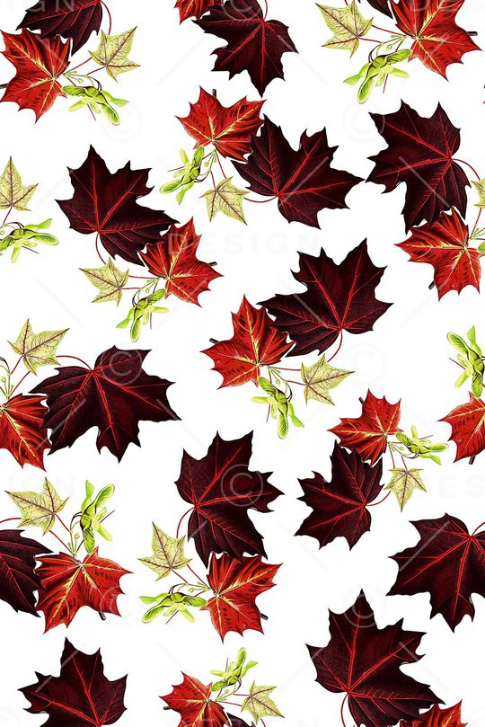 植物印花华亿平台图片