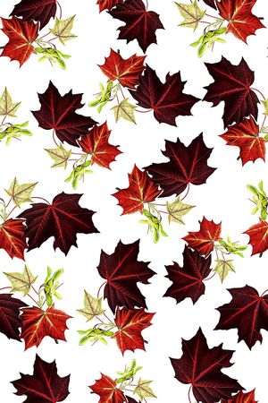 植物印花华亿平台图片