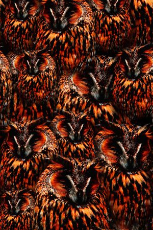 动物纹印花华亿平台图片