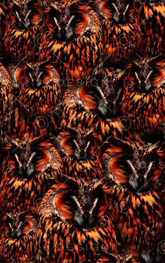 动物纹印花华亿平台图片