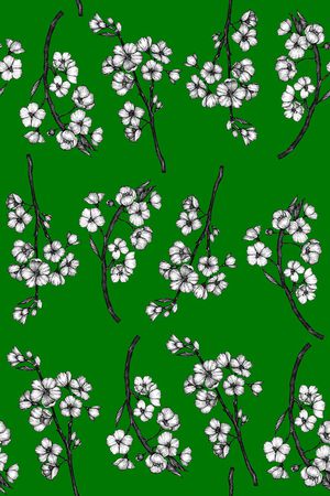 女装印花华亿平台图片