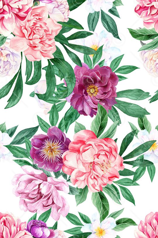 blooming peony印花华亿平台图片