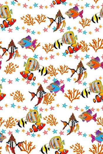 1109509-热带鱼类 星星--2