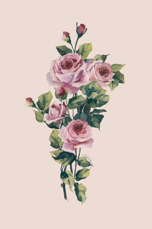 玫瑰花印花华亿平台图片