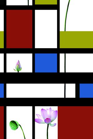 几何印花华亿平台图片