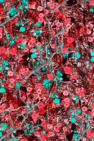 数码华亿平台印花华亿平台图片