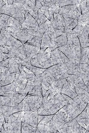 大牌风印花华亿平台图片