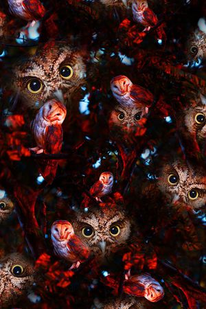 男装印花华亿平台图片