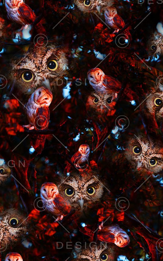 男装印花华亿平台图片