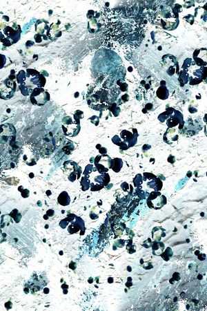 男装印花华亿平台图片