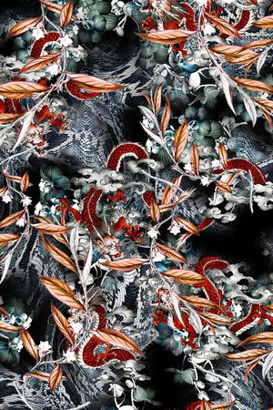 动物印花华亿平台图片