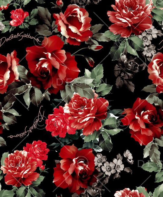 大牌风印花华亿平台图片