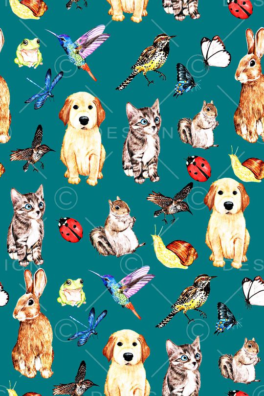 蜻蜓印花华亿平台图片